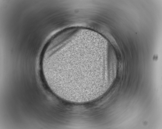 X0000103160628200809192054