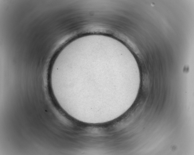 X0000103160629200809192054