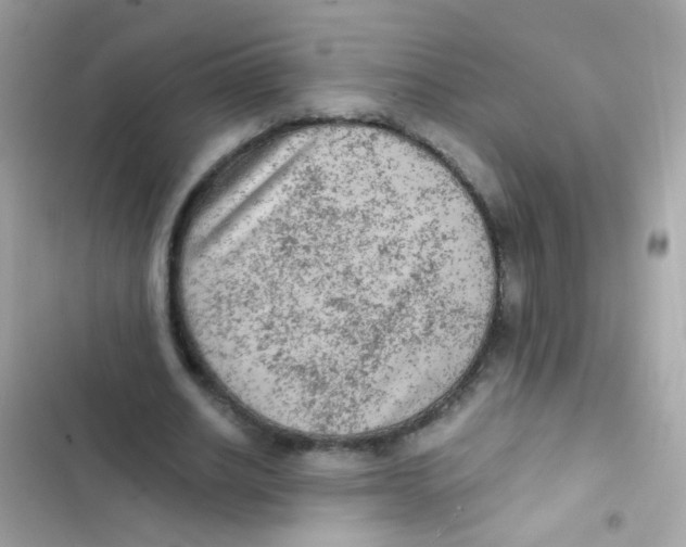 X0000103160630200809192054