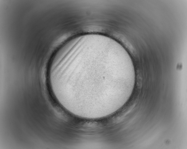 X0000103160631200809192054