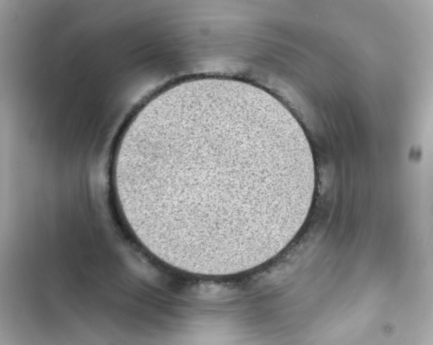 X0000103160632200809192054