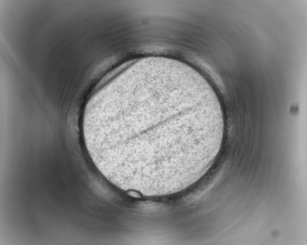 X0000103160633200809192054