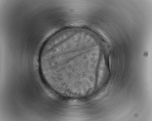 X0000103160634200809192054