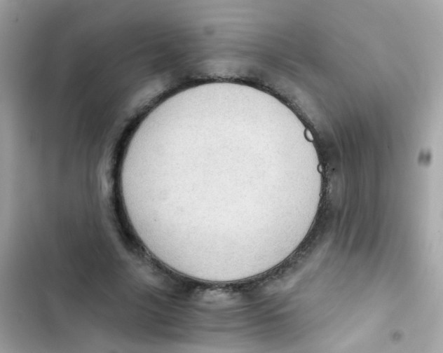 X0000103160635200809192054