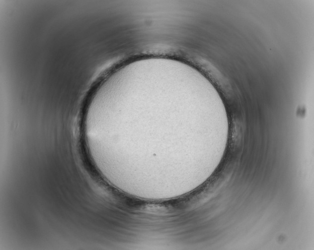 X0000103160636200809192054