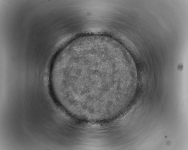 X0000103160640200809192054