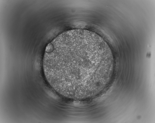 X0000103160641200809192054