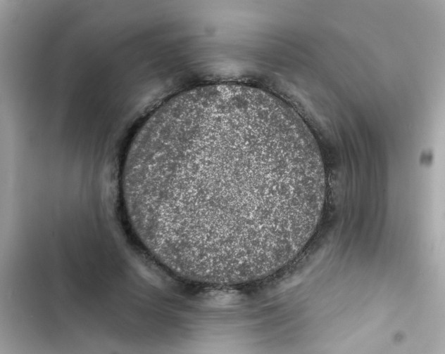 X0000103160642200809192054