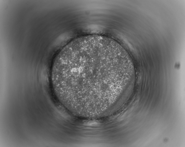 X0000103160643200809192054