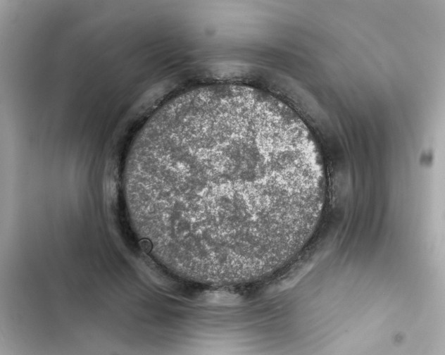 X0000103160644200809192054
