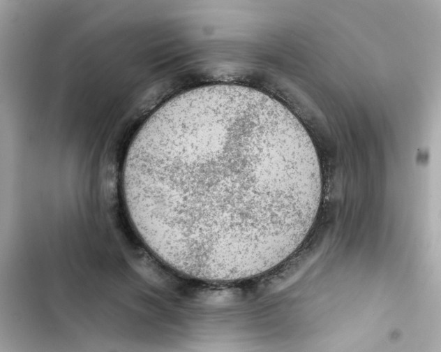 X0000103160646200809192054