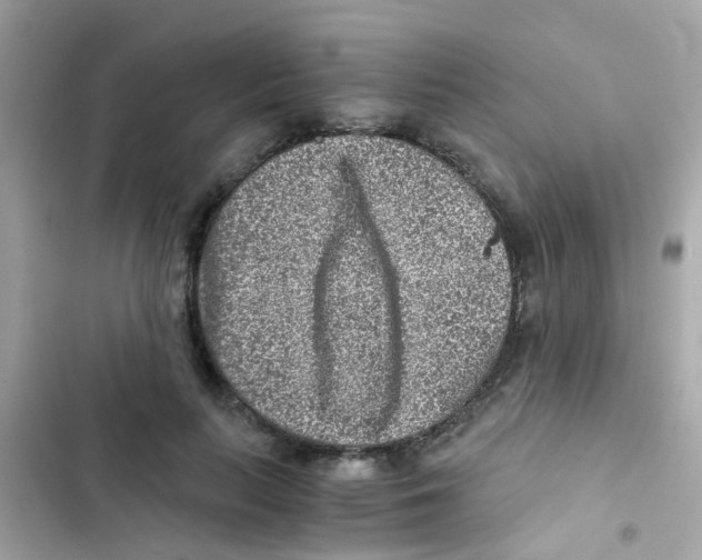 X0000103160647200809192054