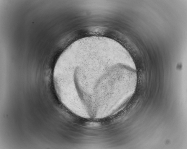 X0000103160649200809192054