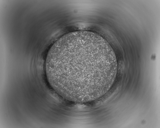 X0000103160650200809192054
