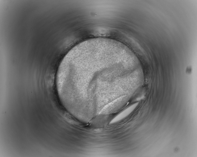 X0000103160652200809192054