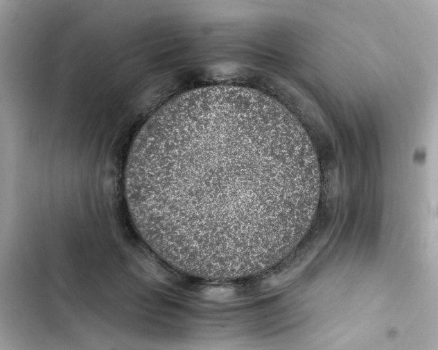 X0000103160653200809192054
