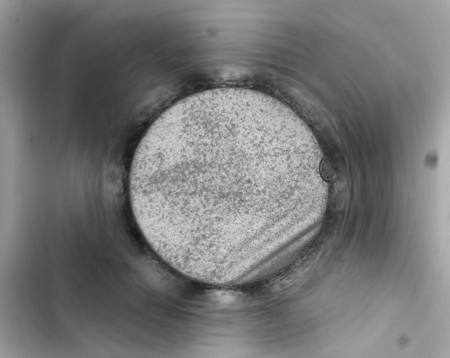 X0000103160654200809192054