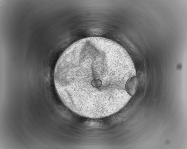 X0000103160655200809192054