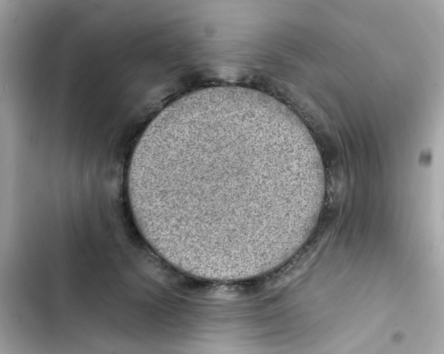 X0000103160656200809192054