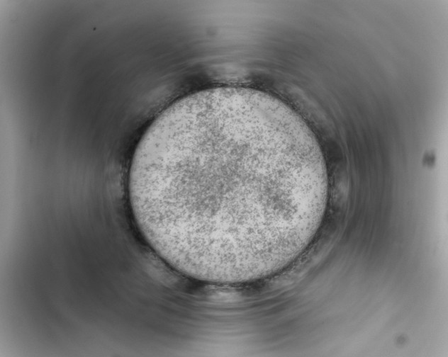 X0000103160658200809192054