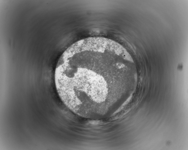 X0000103160659200809192055