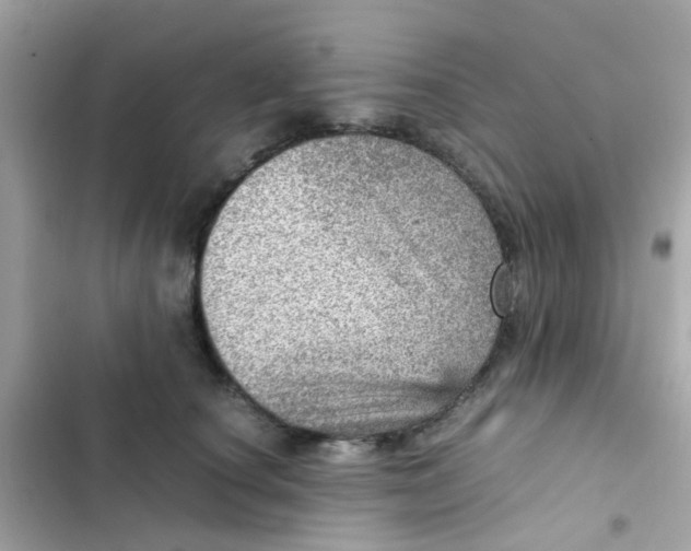 X0000103160660200809192055