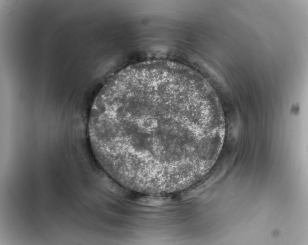 X0000103160661200809192055