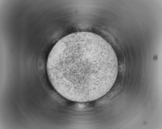 X0000103160662200809192055