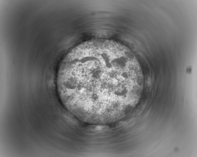 X0000103160663200809192055