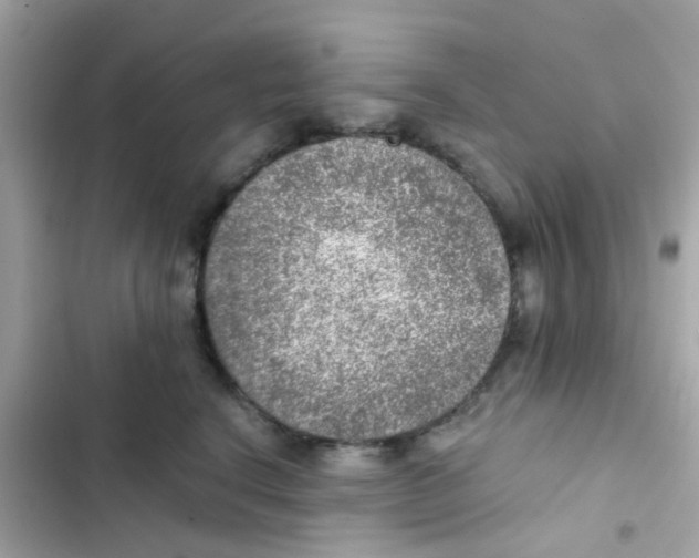 X0000103160664200809192055