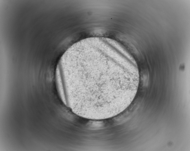 X0000103160665200809192055