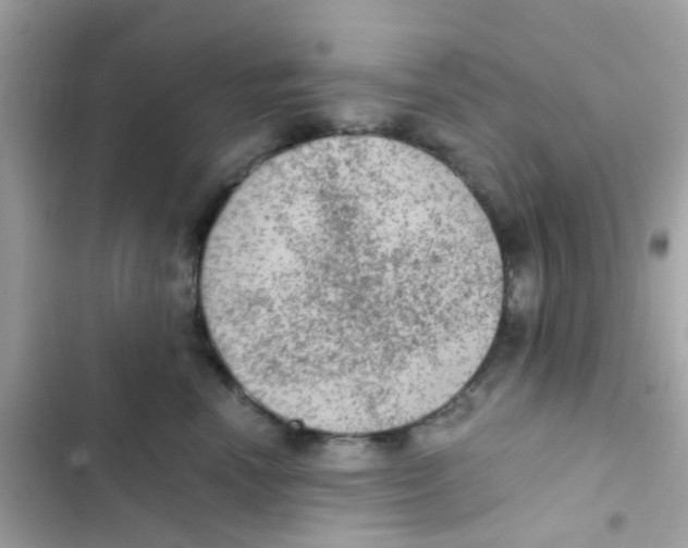 X0000103160666200809192055