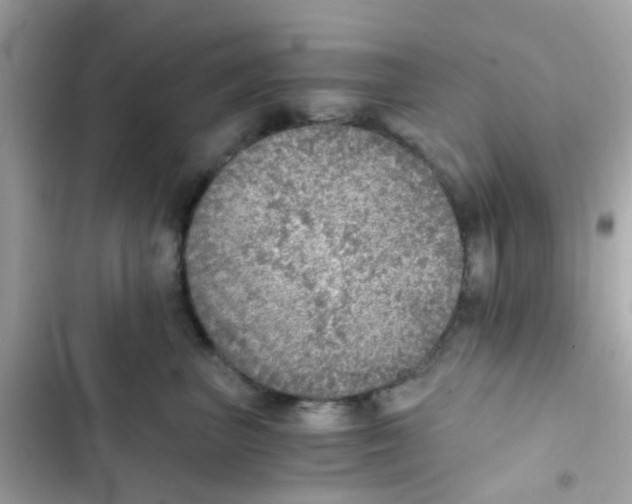 X0000103160667200809192055