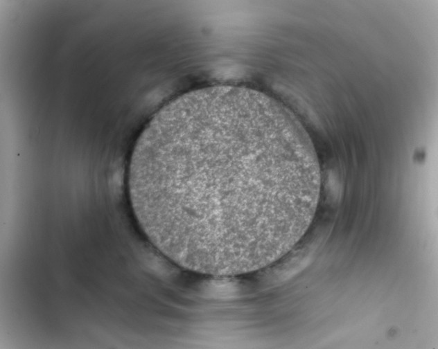 X0000103160668200809192055