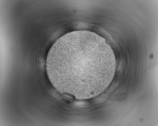 X0000103160669200809192055