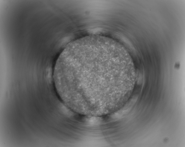 X0000103160670200809192055