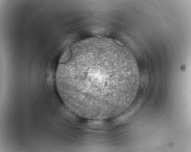 X0000103160671200809192055