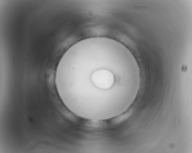 X0000103160672200809192055