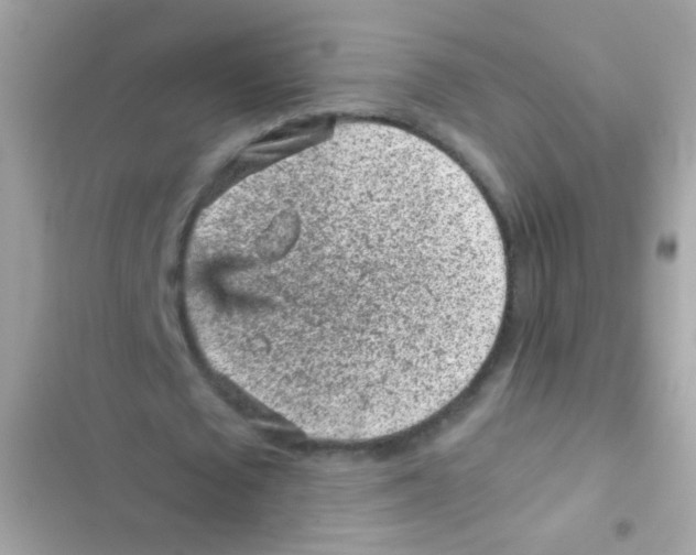 X0000103160673200809192054