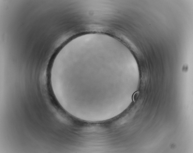 X0000103160674200809192054