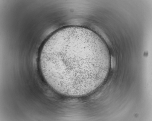 X0000103160675200809192054