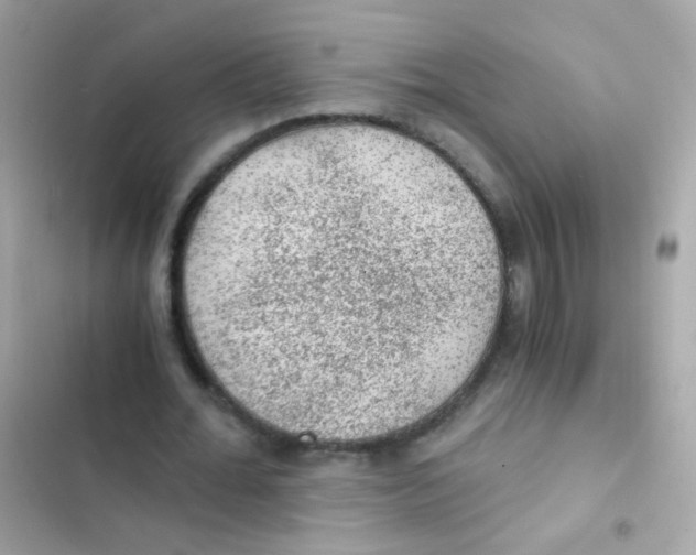 X0000103160676200809192054