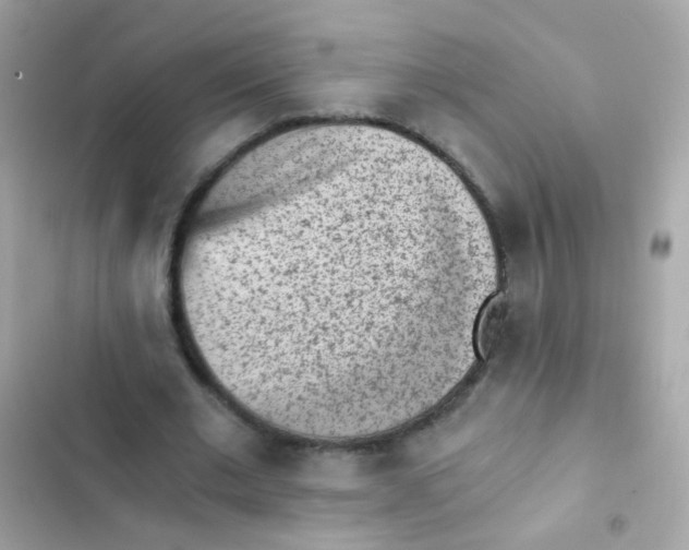 X0000103160677200809192054
