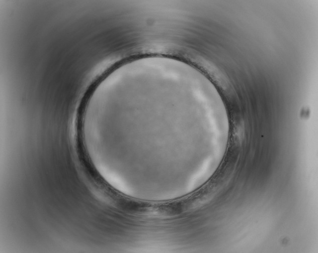 X0000103160678200809192054