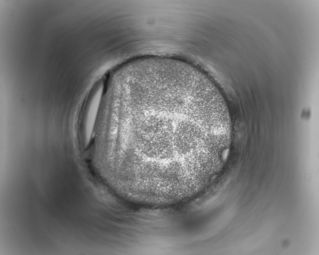 X0000103160679200809192054
