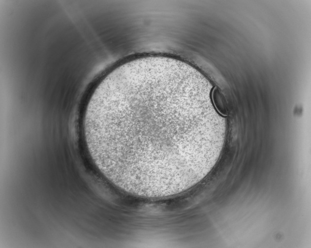 X0000103160680200809192054