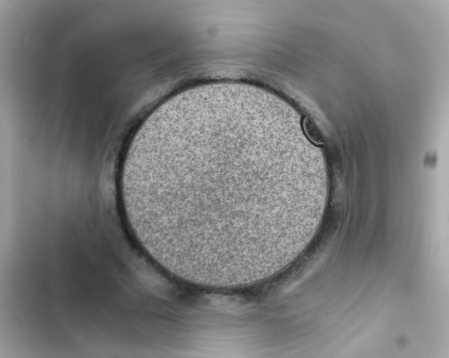 X0000103160681200809192054