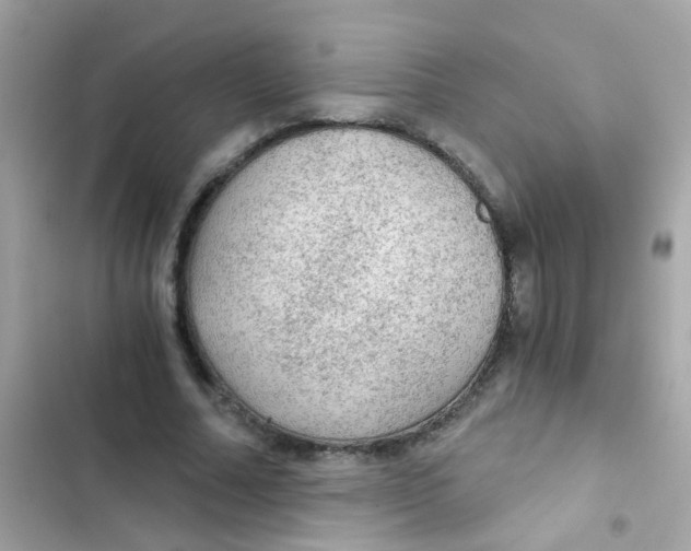 X0000103160682200809192054