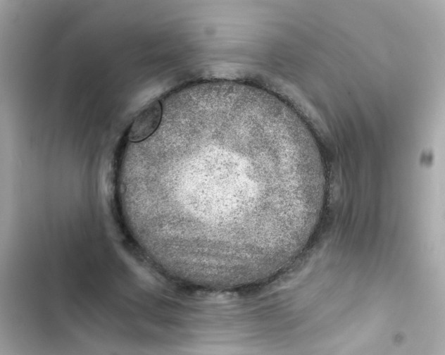 X0000103160683200809192054
