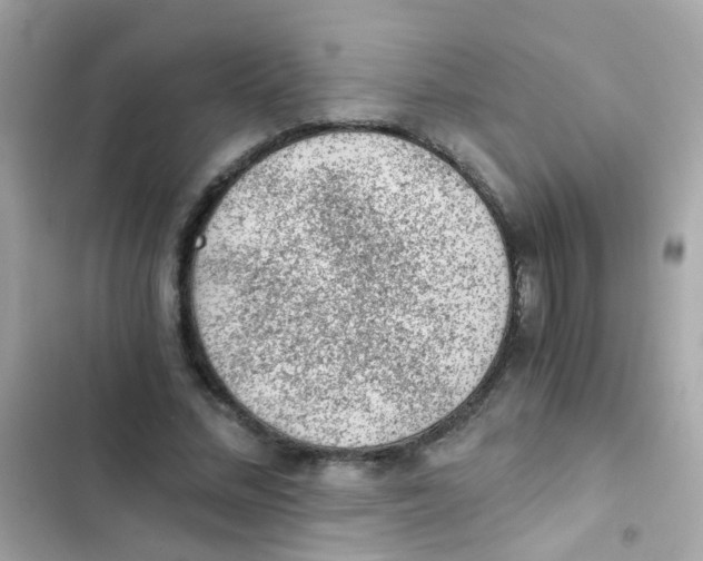 X0000103160684200809192054